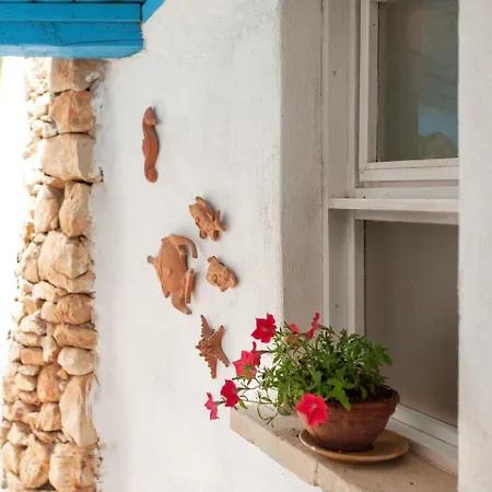 Locazione Turistica Attic Iolanda Holiday home *